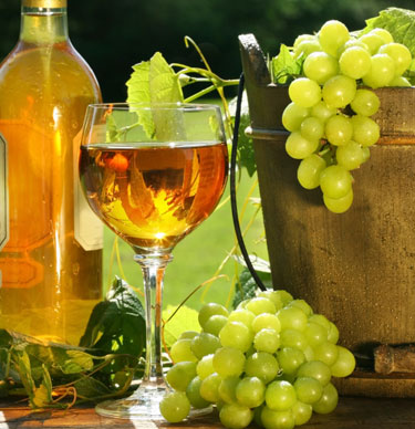 Tìm hiểu về các giống nho làm nên chất lượng của rượu vang Chile