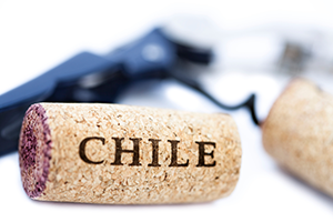 Các cấp độ của rượu vang Chile