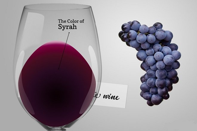Top các loại rượu vang đỏ ngon nhất